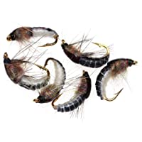CloudWhisper - 6 Moscas de NINFA realistas para Pesca de Trucha- 12 anzuelos superresistentes para Insectos